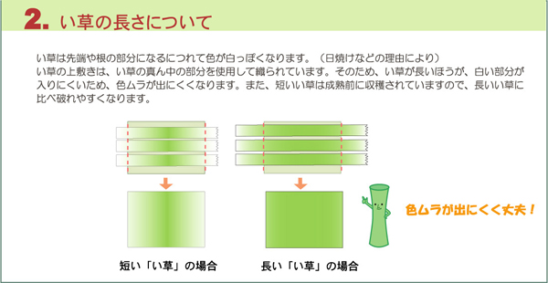 イケヒコ・コーポレーション(IKEHIKO) 純国産 双目織 い草上敷 