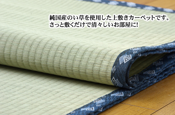 イケヒコ・コーポレーション(IKEHIKO) 純国産 糸引織 い草上敷 『岩木 