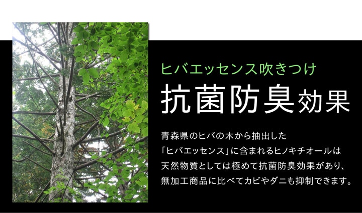 イケヒコ・コーポレーション(IKEHIKO) い草ラグ おしゃれ 国産 イケヒコ・コーポレーション(IKEHIKO) い草ラグ おしゃれ 国産