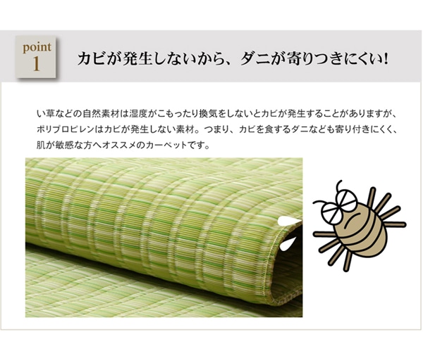 洗える PPカーペット 『バルカン』 本間8畳（約382×382cm）