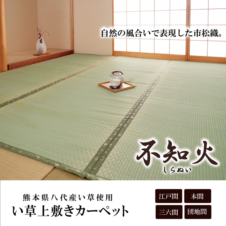 イケヒコ・コーポレーション(IKEHIKO) 純国産 い草 上敷き カーペット