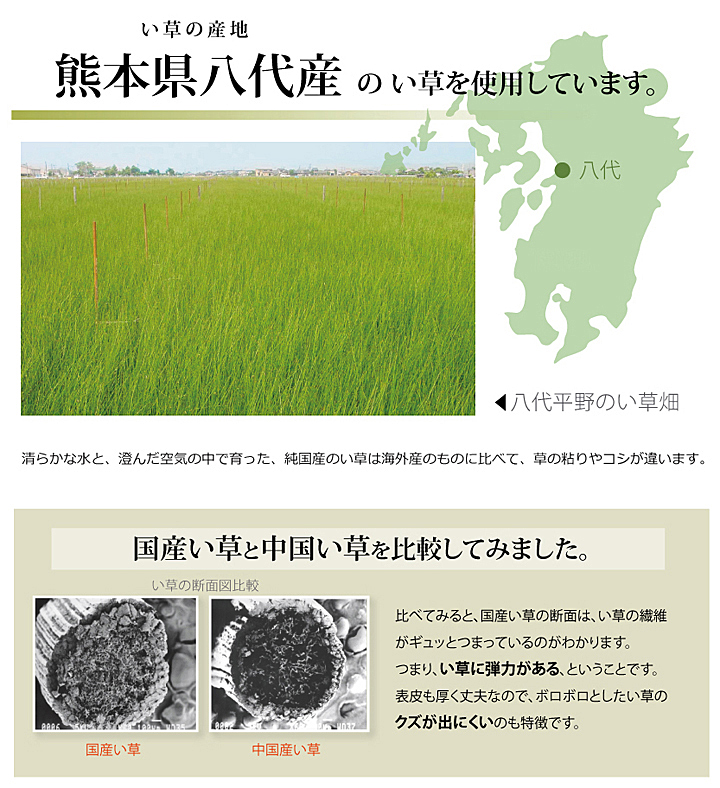 イケヒコ・コーポレーション(IKEHIKO) 純国産 い草 上敷き カーペット 