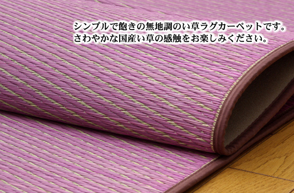 イケヒコ・コーポレーション(IKEHIKO) 純国産 い草ラグカーペット 『Fソリッド』 ダークブラウン 191×250cm（裏：ウレタン