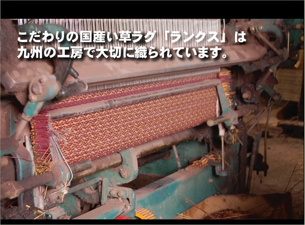 国産い草ラグカーペット DＸランクス