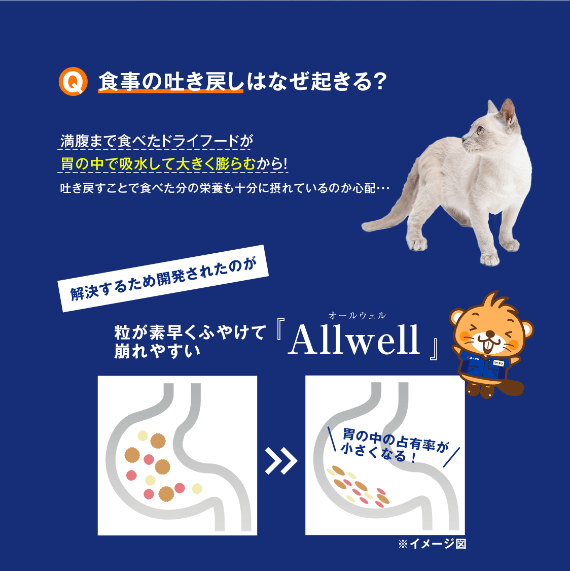 食事の吐き戻しはなぜ起きる？