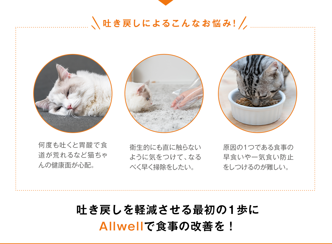 Allwellで食事改善を!