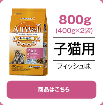 800g子猫用フィッシュ味