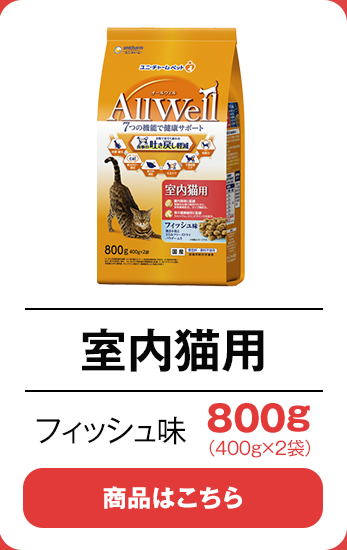 室内猫用800gフィッシュ味