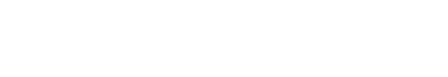 アダルト成犬用　国産プレミアムドッグフード