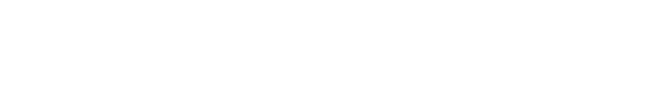 低脂肪設計　国産プレミアムドッグフード