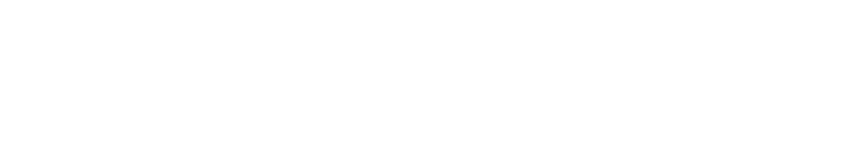 10歳以上用　国産プレミアムドッグフード