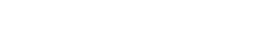 13歳以上用　国産プレミアムドッグフード