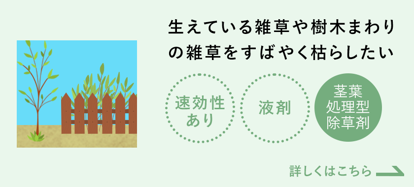 生えている雑草や樹木まわりの雑草をすばやく枯らしたい