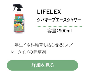 LIFELEX シバキープエース　900ml