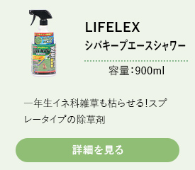 LIFELEX シバキープエース　900ml