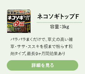 ネコソギトップＷ ３ｋｇ