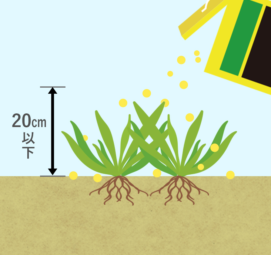 土壌処理型のまき方