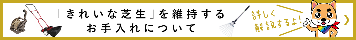 芝生のお手入れ