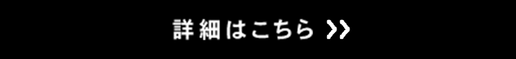 詳細をみる