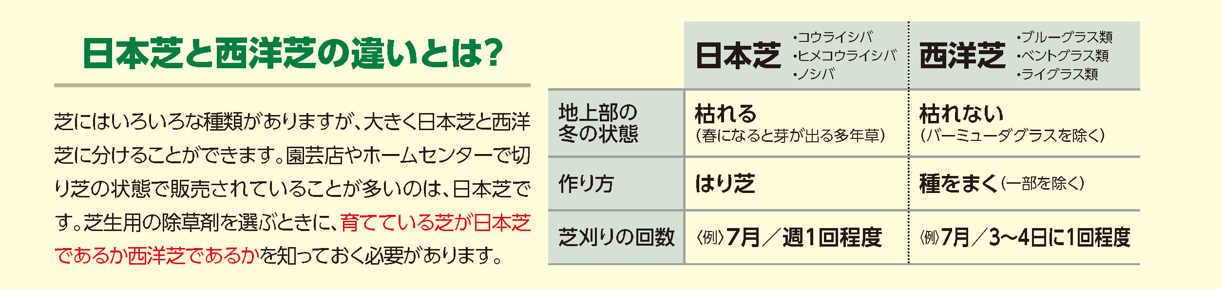 日本芝・西洋芝の違い