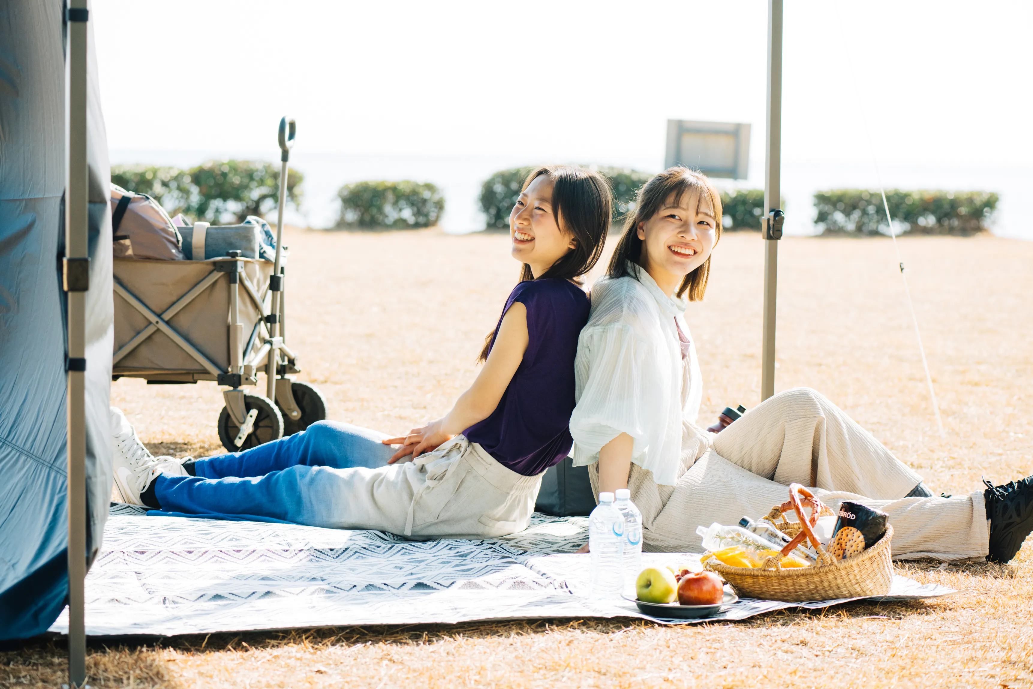 公園でピクニック