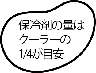 保冷剤の量はクーラーの1/4が目安
