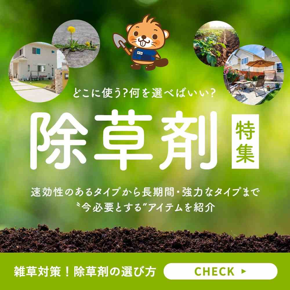 LIFELEX 菜園プランター 深型タイプ(アースグリーン): ガーデニング・農業資材|ホームセンターコーナンの通販サイト