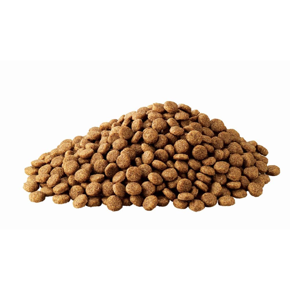 アイムス 成犬用　チキン　小粒　８ｋｇ 8kg・単品