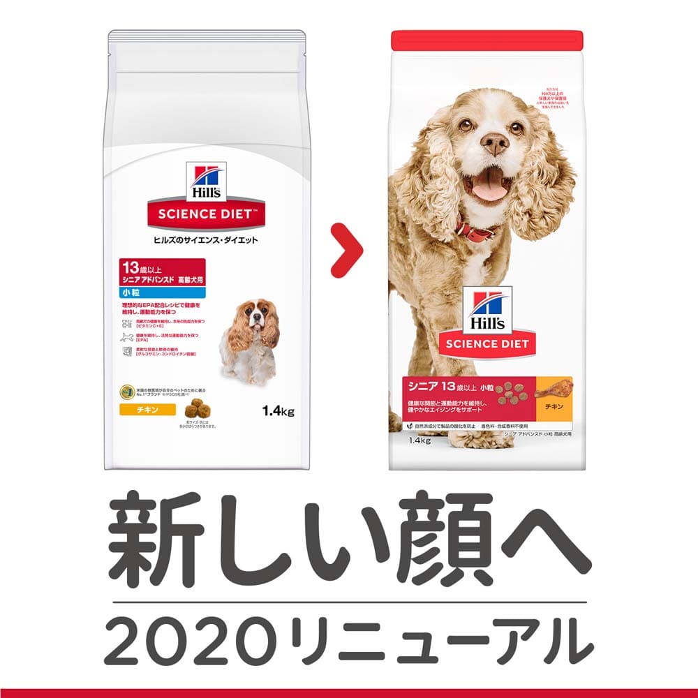 メーカー直売 ワイヤークラフト アート イングリッシュコッカースパニエル 犬 No,812