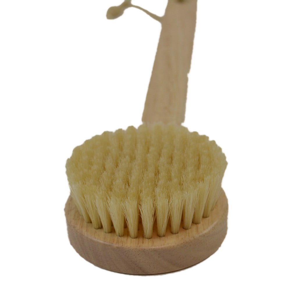 コーナン オリジナル ボディブラシ 木柄 wg21 6211 生活用品 キッチン用品 ホームセンターコーナンの通販サイト コーナン オリジナル ボディブラシ 木柄 wg21 6211 生活用品 キッチン用品 ホームセンターコーナンの通販サイト