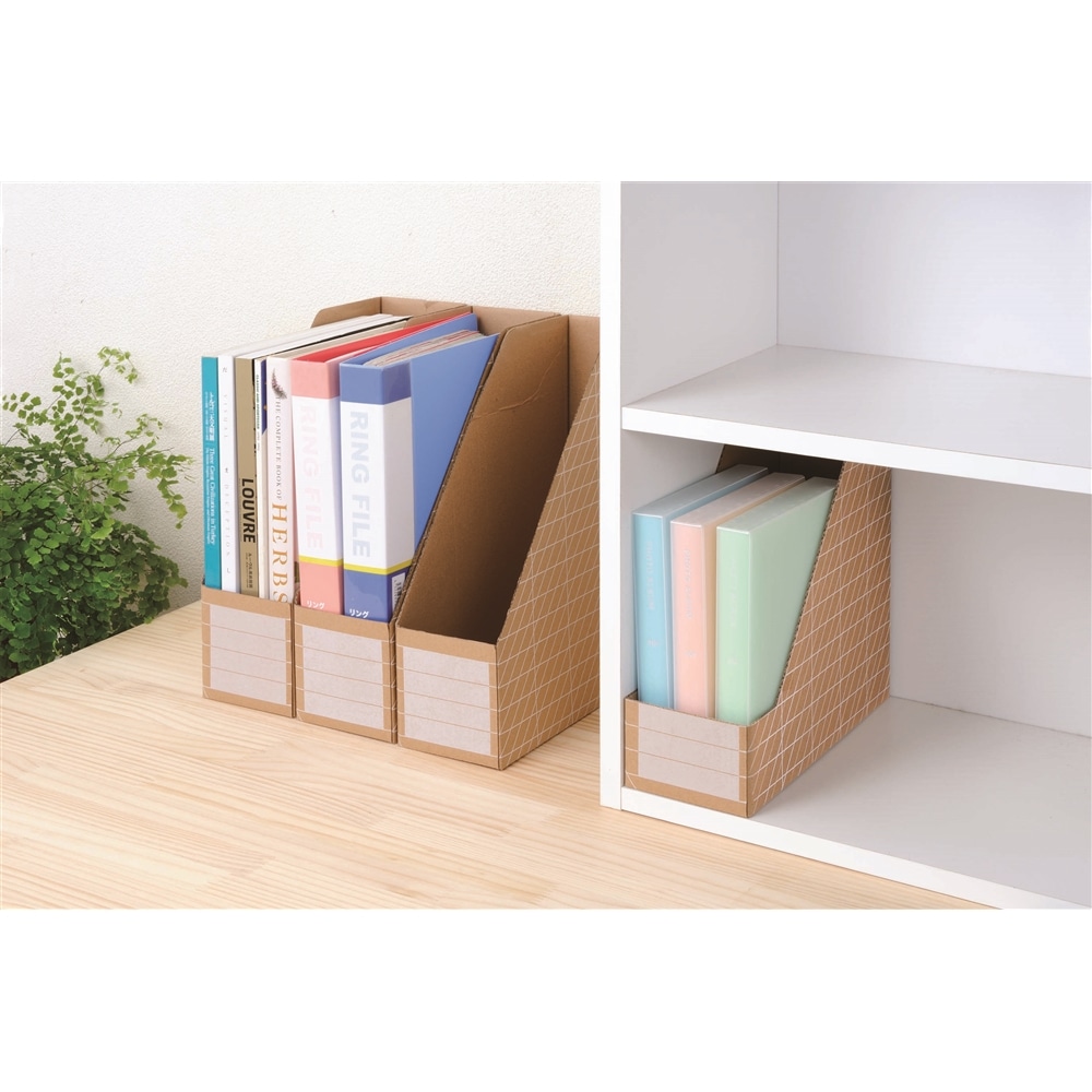 ＤＩＹファイルＢＯＸ ３Ｐ　ＣＯＭ１７０１０２