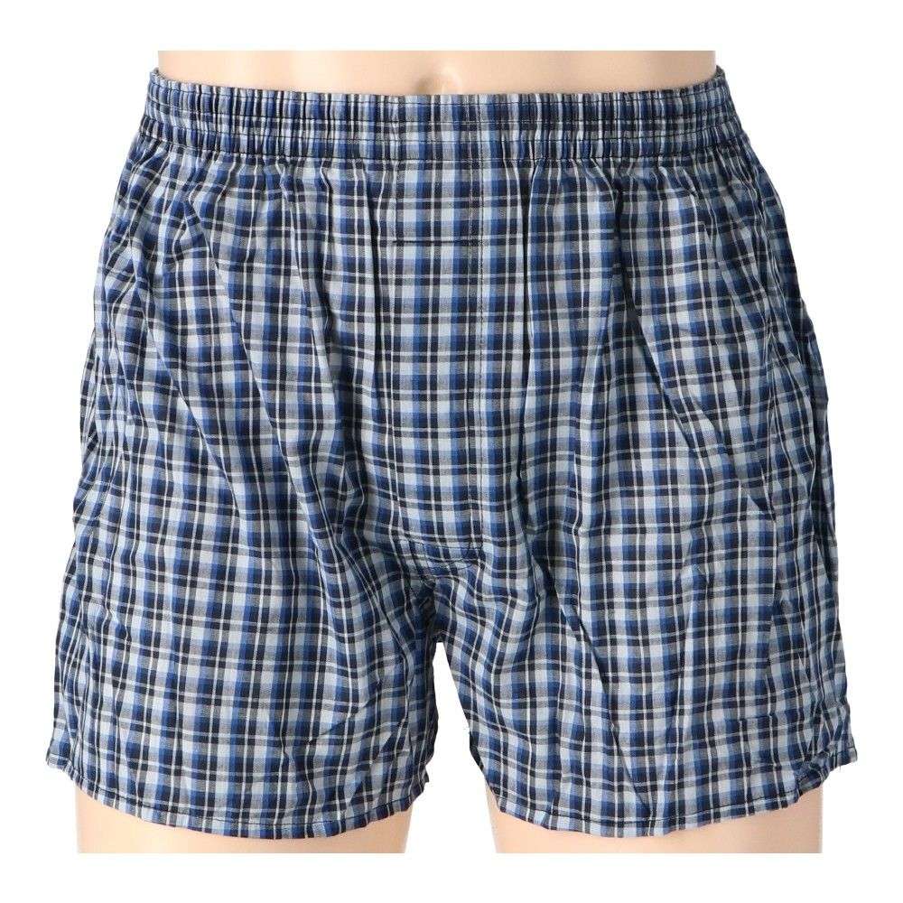 LIFELEX　トランクス　２Ｐ　ホワイト・ブルー系チェック　Ｌ ホワイト・ブルー系チェック　Ｌ