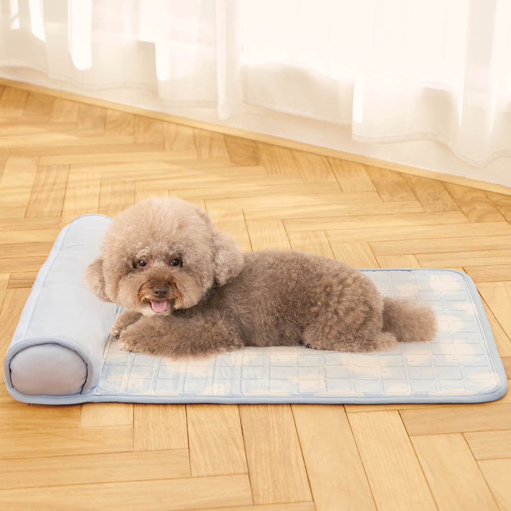 LIFELEX 保冷剤ポケット付 ひんやりあごのせジェルマット M HS12ー5487 ブルー M