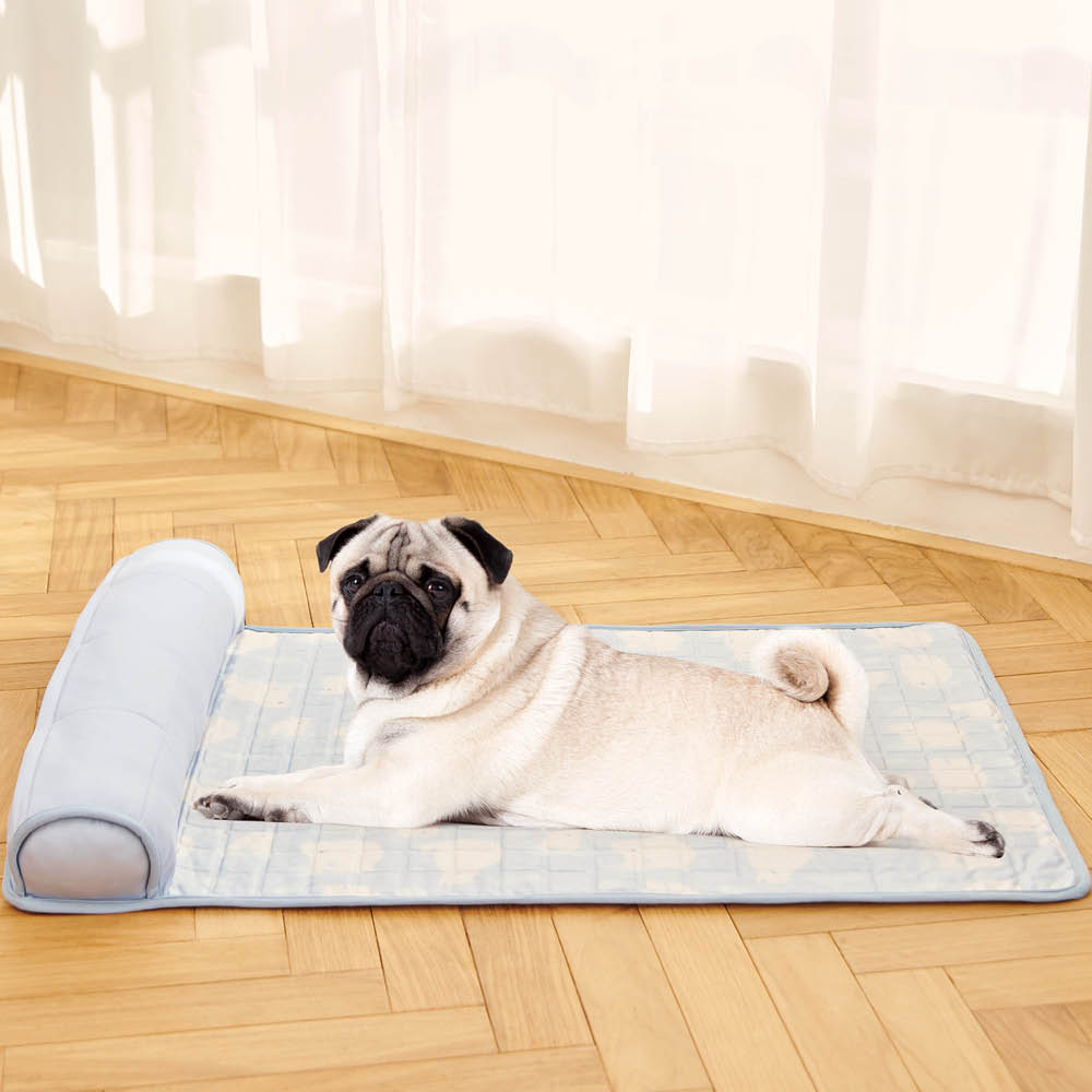 LIFELEX 保冷剤ポケット付 ひんやりあごのせジェルマット L HS12ー5852 ブルー L