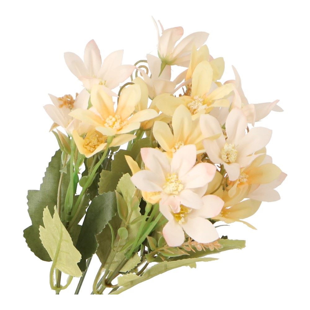 LIFELEX　クレマチス（切花）　ＨＫ０９－１８３４