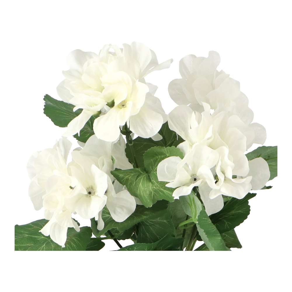 LIFELEX ゼラニウム（切花）白 HK09-1872 白