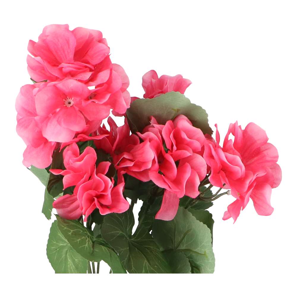 LIFELEX ゼラニウム（切花）濃いピンク HK09-1889 濃いピンク