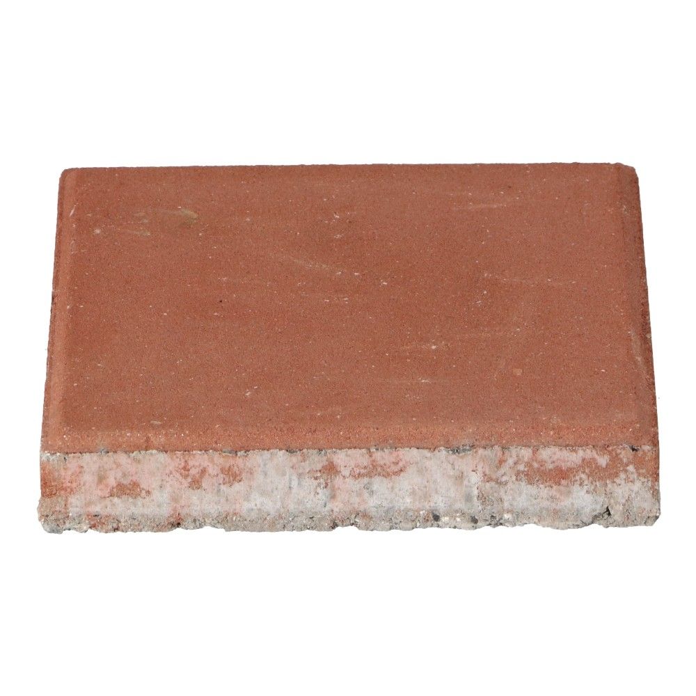 LIFELEX　カラー平板　２０ｃｍ　ＫＲ１０－４０２１－ＲＤ