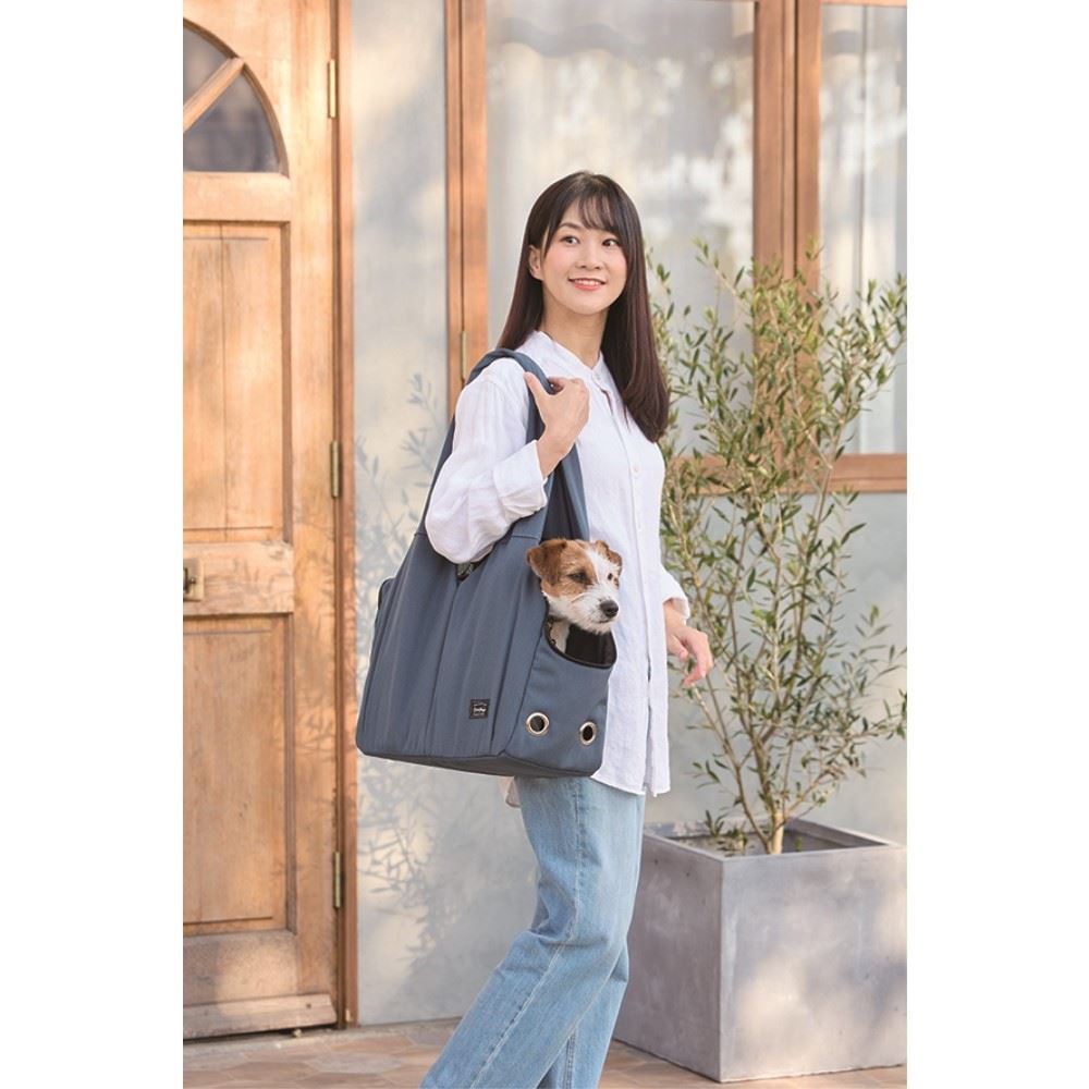 LIFELEX　トートキャリー　ブルーグレー　ＳＳ１２－５４６９ ブルーグレー