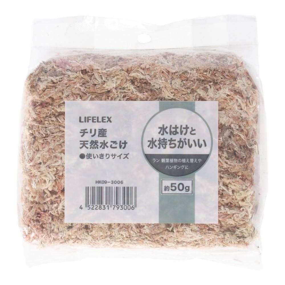 LIFELEX　チリ産　天然水ごけ　約５０ｇ　ＨＫ０９－３００６ 50g