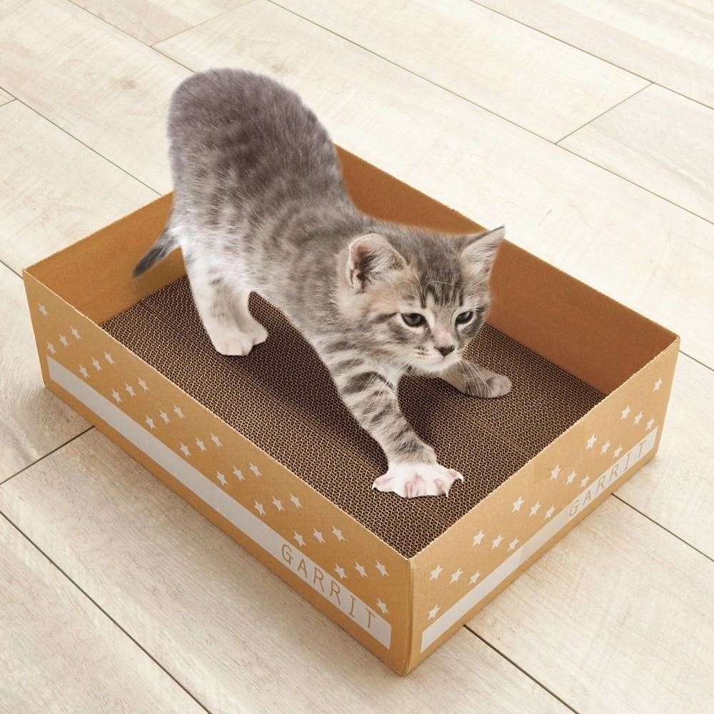 LIFELEX　猫のつめみがき１２Ｐ　ＫＴＳ１２－１５２６ 12P