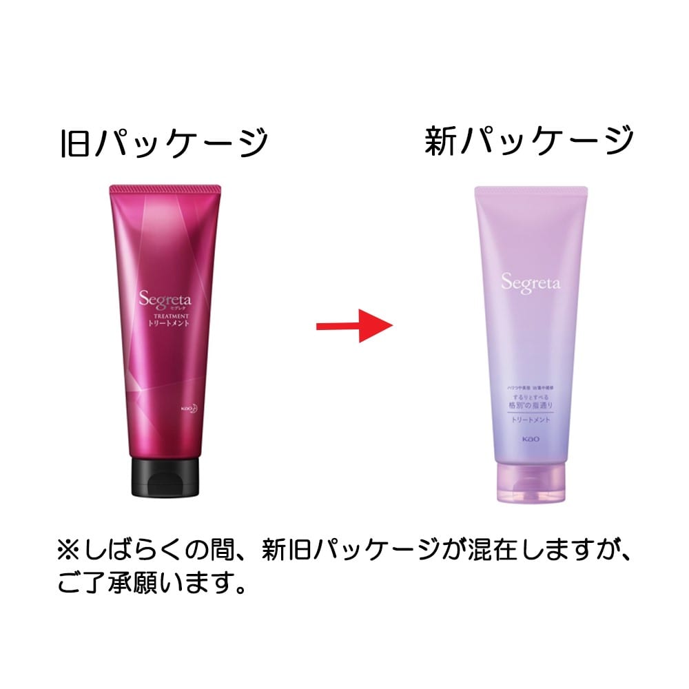 花王　セグレタ トリートメント