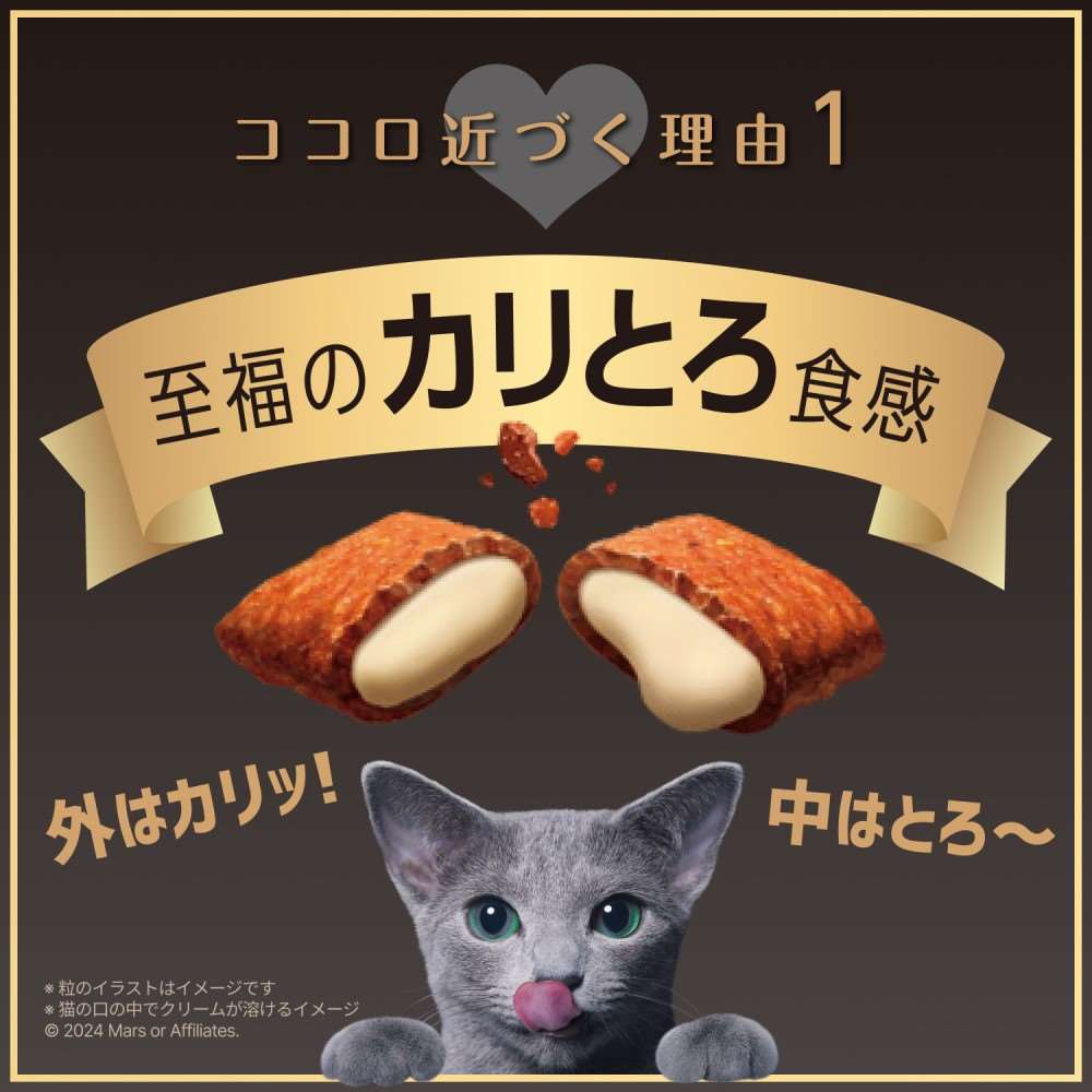 シーバ　デュオ　キャットフード　ドライ　毛玉ケアセレクション　２００ｇ　成猫用 x12個セット 毛玉ケア　×１２個セット