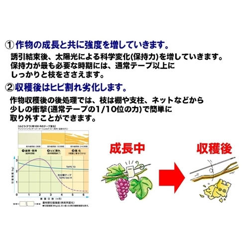 マックス　光分解テープ２００Ｒ　厚さ０．２ｍｍ×幅１１ｍｍ×長さ１９ｍ