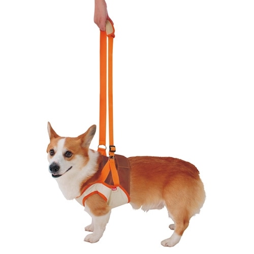 老犬介護用 ずっとね 歩行補助ハーネス前足用 ｌサイズ ｌサイズ ペット ホームセンターコーナンの通販サイト