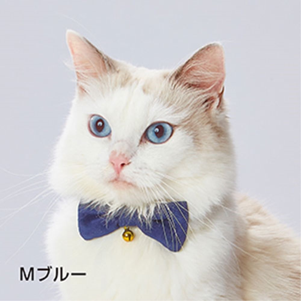 ペティオ　ｎｅｃｏｃｏリボン付　キャットカラーＳ　ブルー ブルー