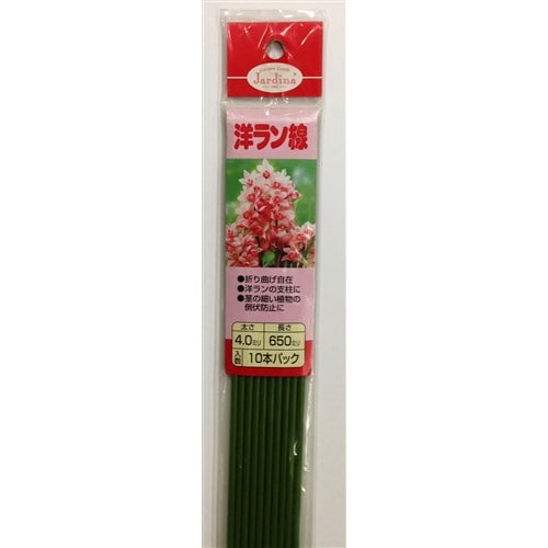 洋ラン線　１０本パック　太さ４．０ｍｍ　長さ６５０ｍｍ　若草色 太さ４．０ｍｍ　長さ６５０ｍｍ