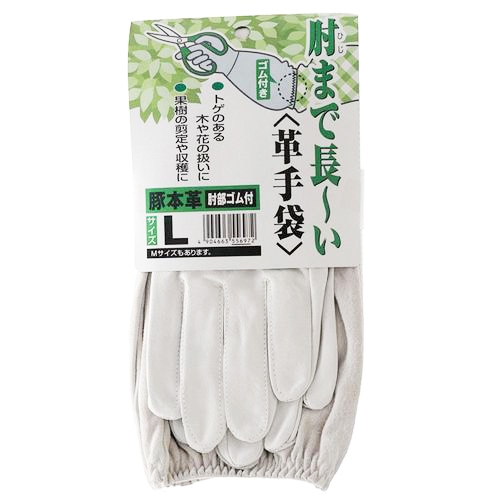 中部物産貿易 肘まで長～い革手袋  M Ｍ