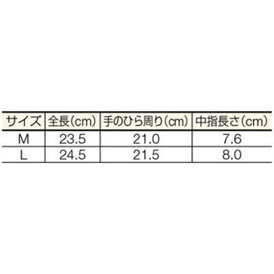 ■川西　ダンク　Ｍ　１０双組　2512M 2512M