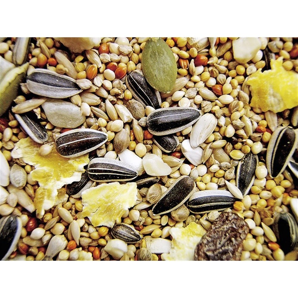 224円 送料無料 ナチュラルペットフーズ バードテイスト オカメインコ 1.1kg 224円 送料無料 ナチュラルペットフーズ バードテイスト オカメインコ 1.1kg